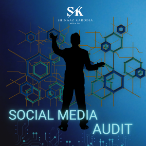 Social Media Audit